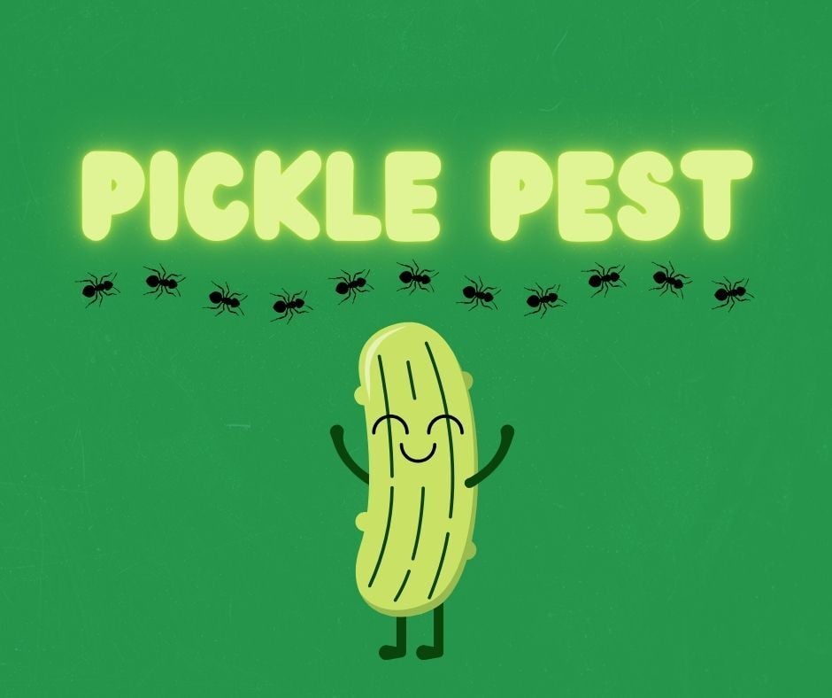 Pickle Pest Logo
